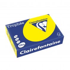 Clairefontaine universeel papier Trophee, A4, 210 g/m2, zonnegeel