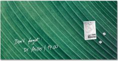 sigel glas-magneetbord Artverum Design Palm Leaf, (B)910 mm