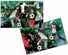 HERMA schrijfonderlegger 'Street Soccer', (B)550 x (H)350 mm
